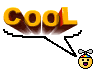 cool-3854[1]